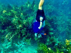 a man snorkeling at playa del carmen