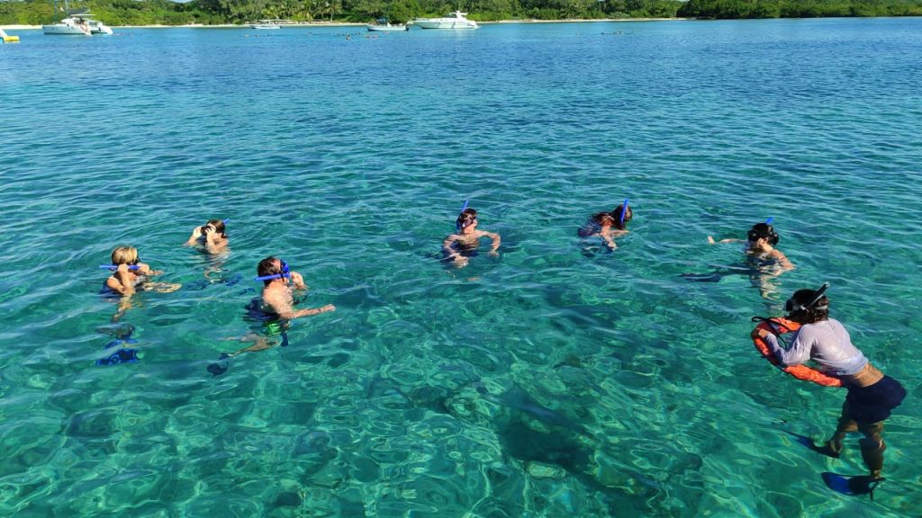 Group of tourists snorkeling in clear turquoise water during a snorkeling boat tour in Playa del Carmen, Mexico, with tropical coastline and boats in the background.
